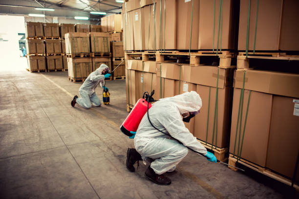 Best Best Pest Control Companies  in Chelsea, MA