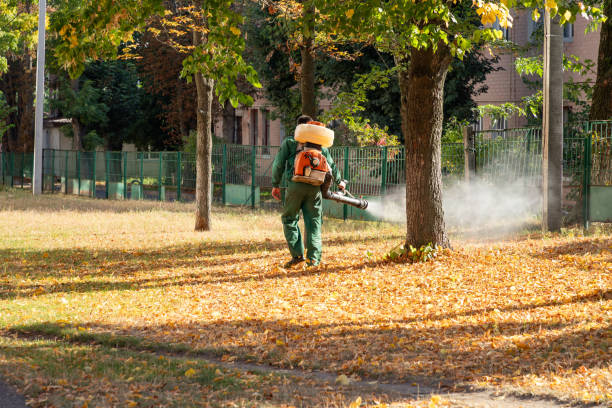 Best Wildlife Control Services  in Chelsea, MA